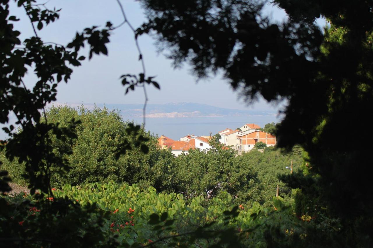 Apartments And Rooms With Parking Space Klenovica, Novi Vinodolski - 5590 מראה חיצוני תמונה